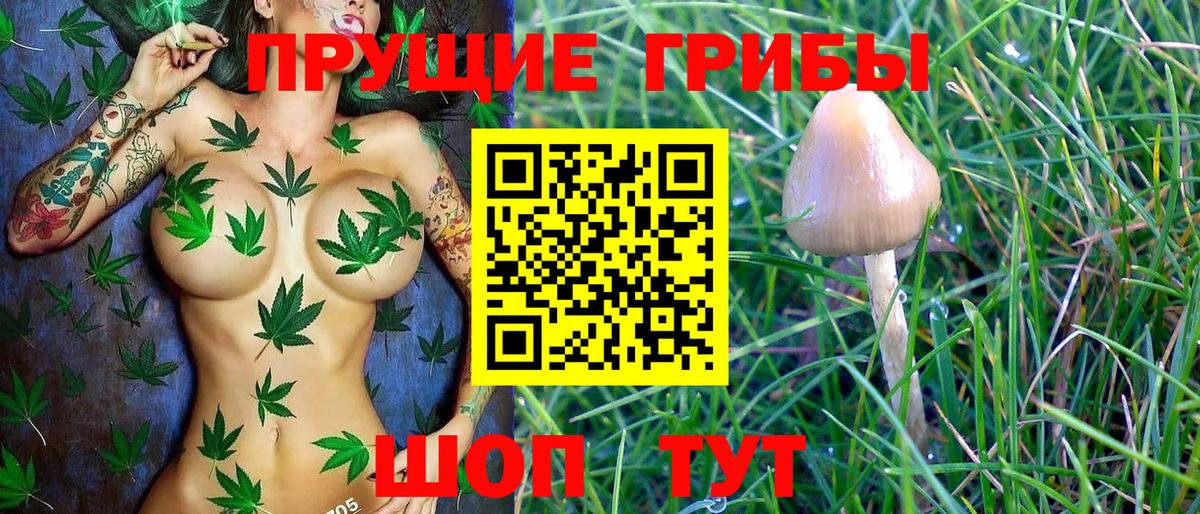 Псилоцибиновые грибы Magic Shrooms  Галлюциногенные грибы ЛСД  Вход с VPN  Нерюнгри 