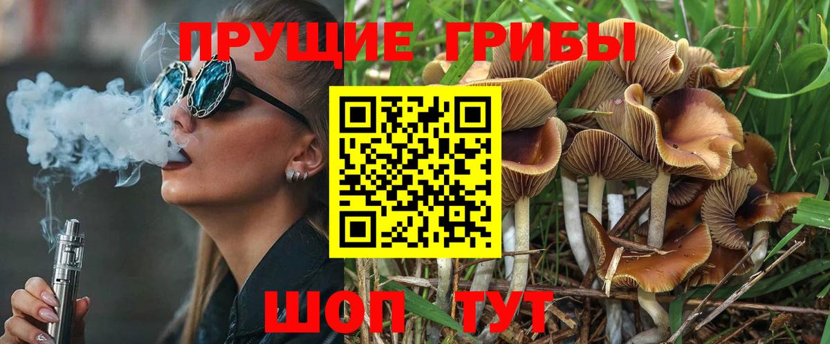 Галлюциногенные грибы Magic Shrooms Нерюнгри